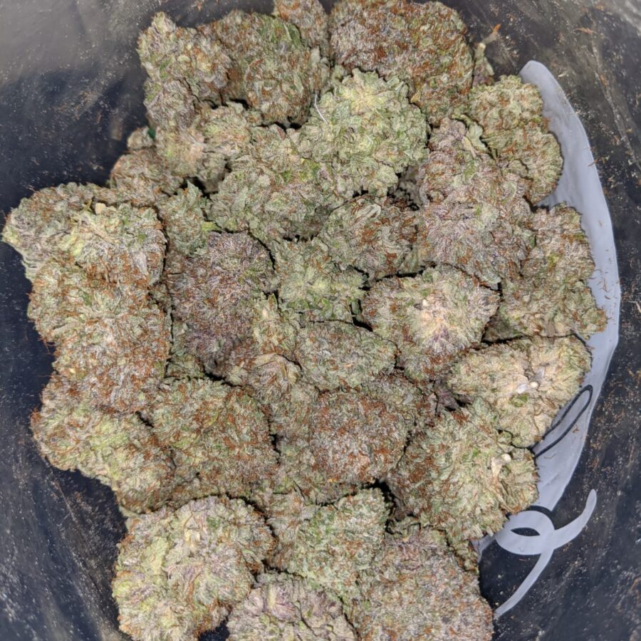 gb 2 I Gods Bubba