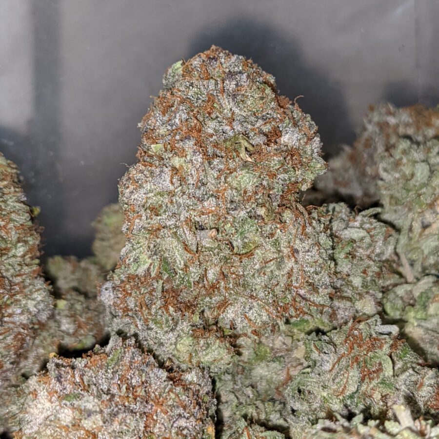gb 3 I Gods Bubba
