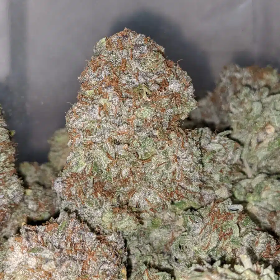 gb 4 I Gods Bubba