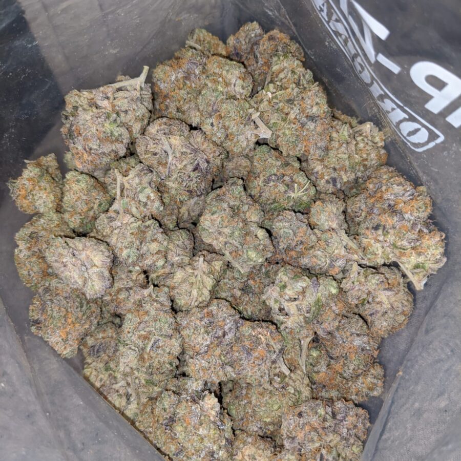 Grape Champagne - Image 6