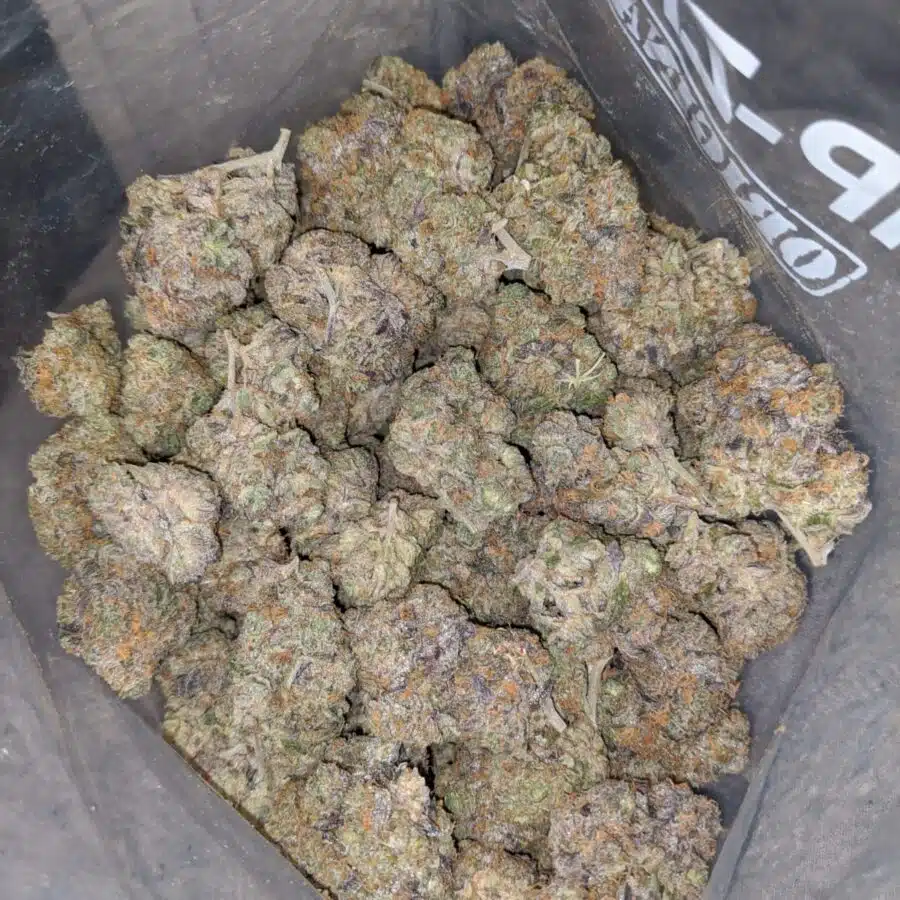 grape champenge 4 I Grape Champagne