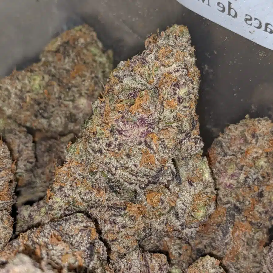 keresone cookies 2 I Alien Cookies