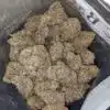 Alien Cookies