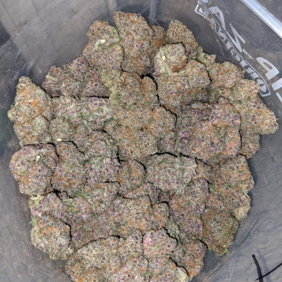 mendo breathe 4 I Mendo Breath