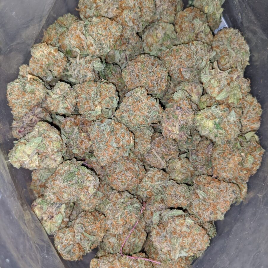 night nurse 1 I death star