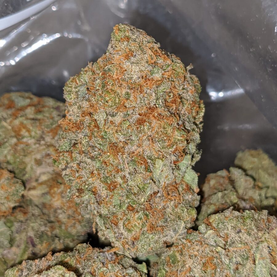 night nurse 2 I death star