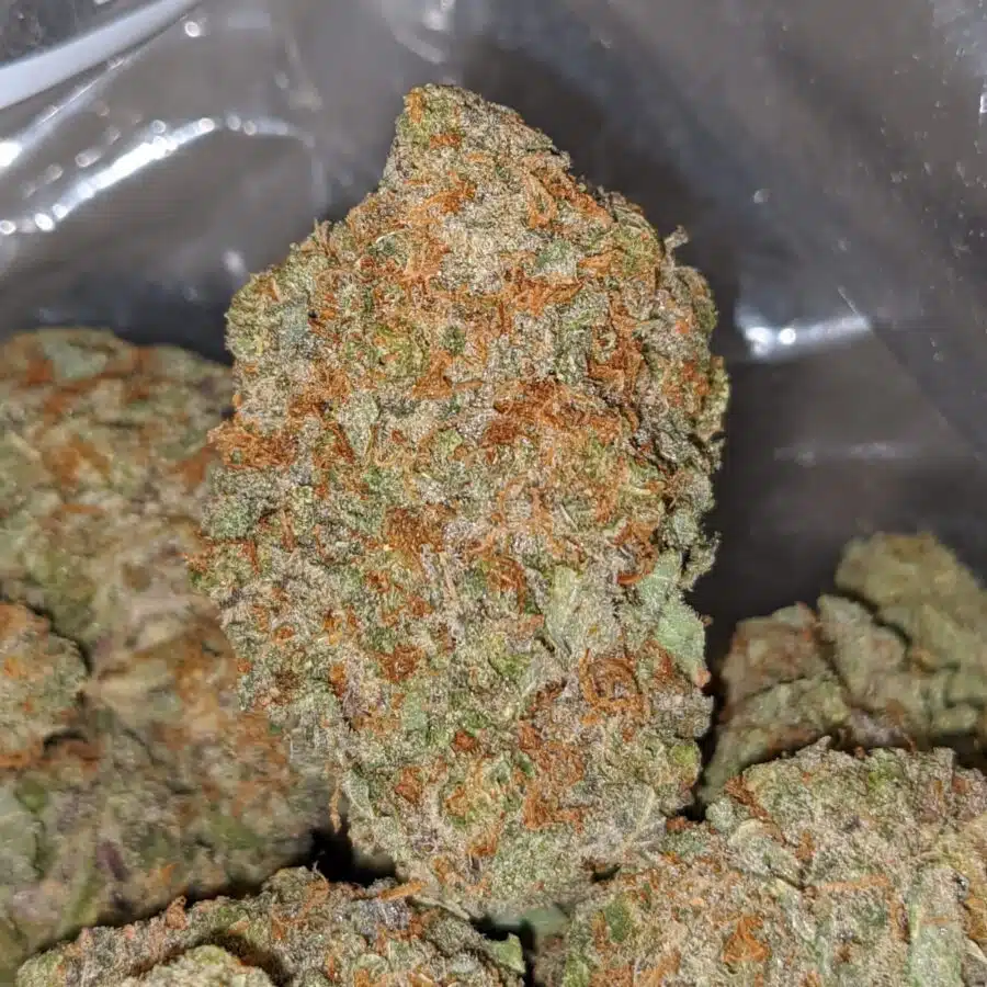 night nurse 2 I death star