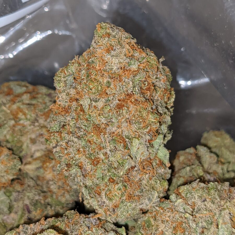 night nurse 3 I death star