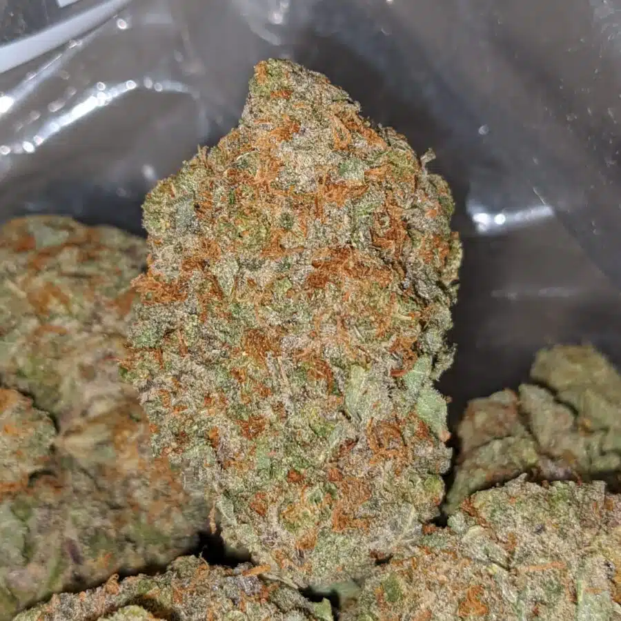 night nurse 3 I death star