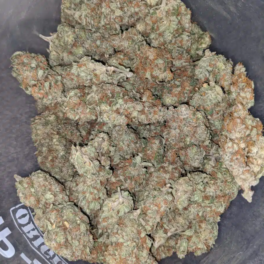 pineapple diesel 2 I Pineapple Diesel