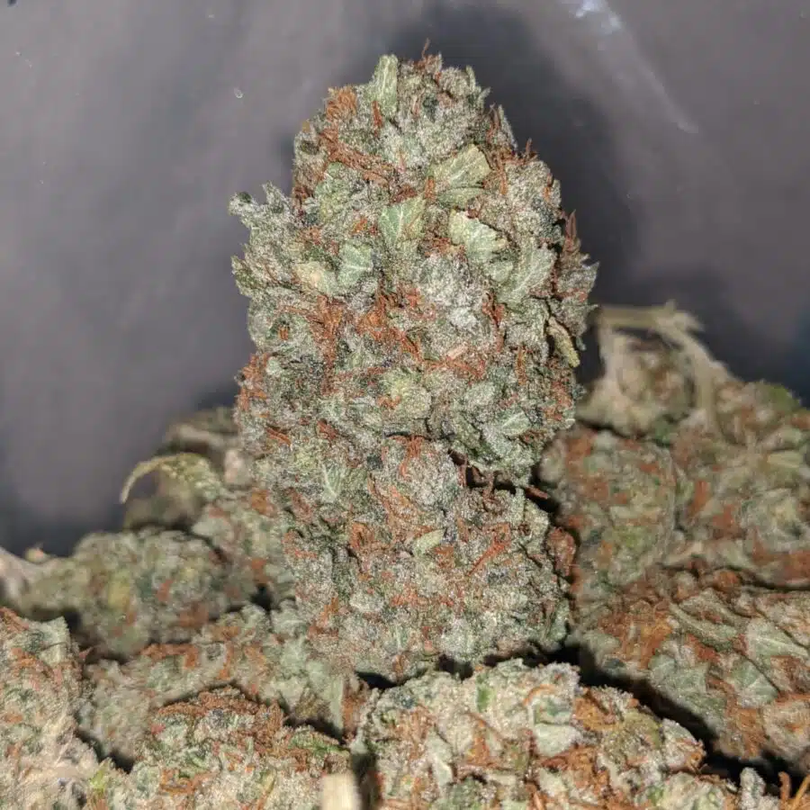 pineapple diesel 3 I Pineapple Diesel