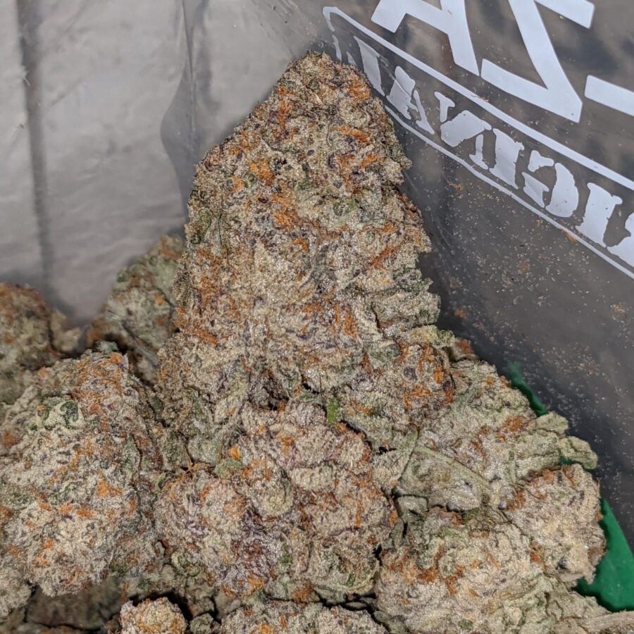 platinum starberry 1 I Platinum Strawberry