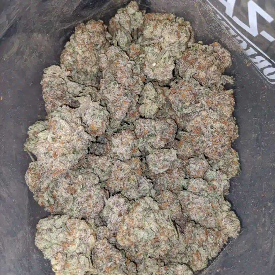 platinum starberry 2 I Platinum Strawberry