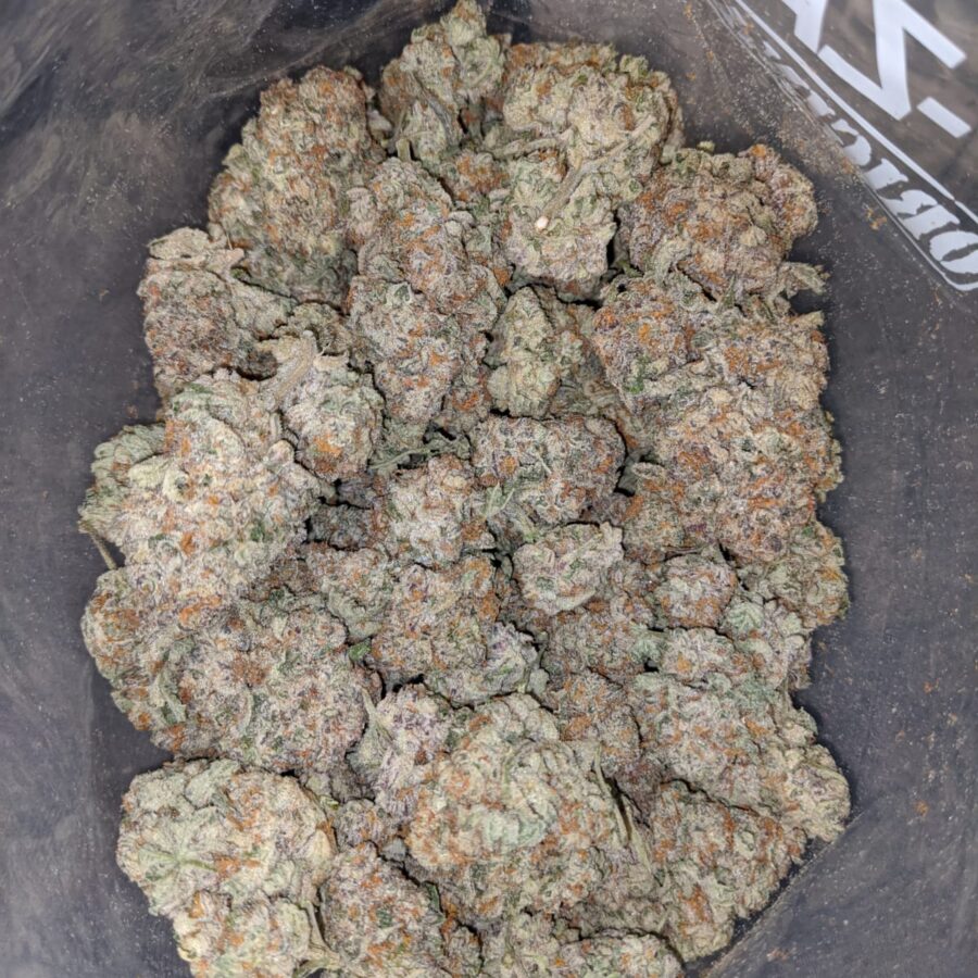 platinum starberry 3 I Platinum Strawberry