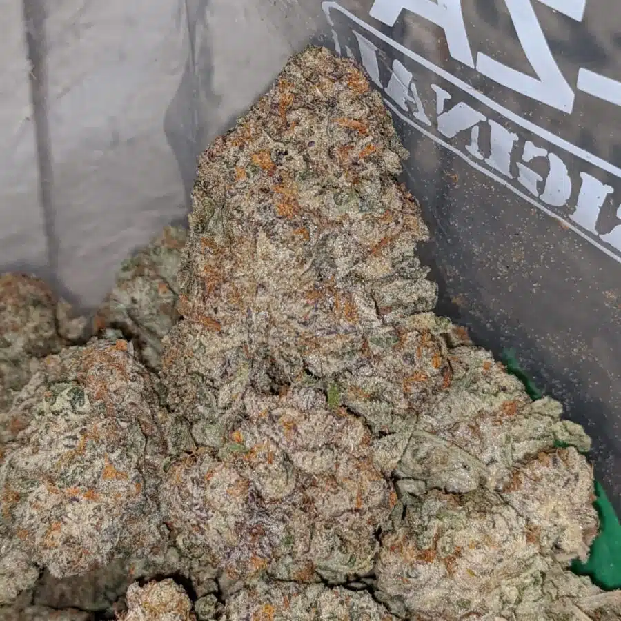 platinum starberry 4 I Platinum Strawberry