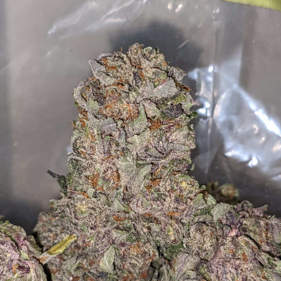 purple mamba 1 I Purple Mamba