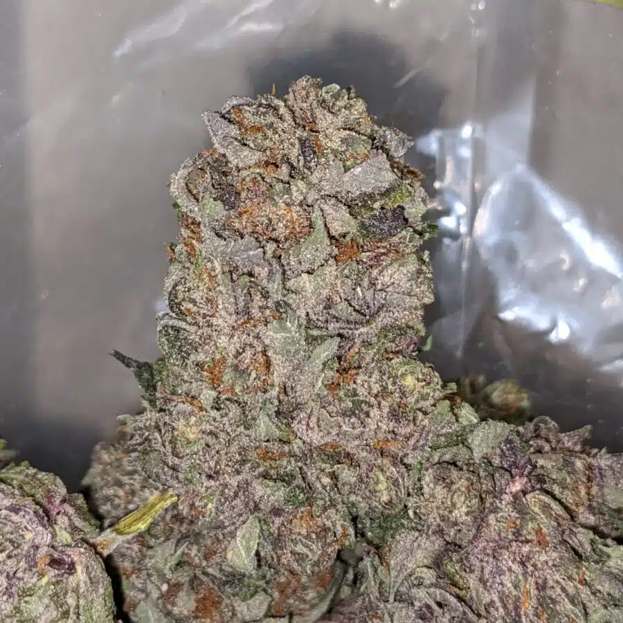 purple mamba 2 I Purple Mamba