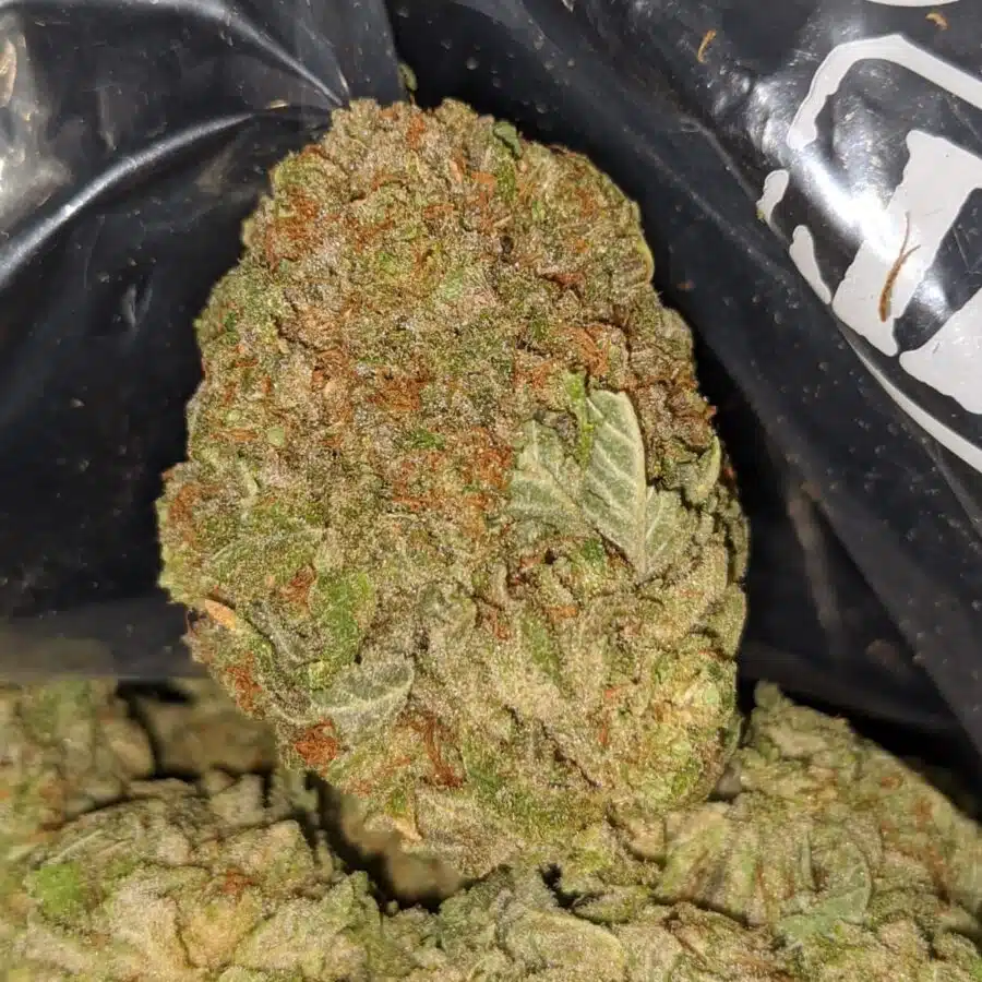 racefuel og 1 I Racefuel OG
