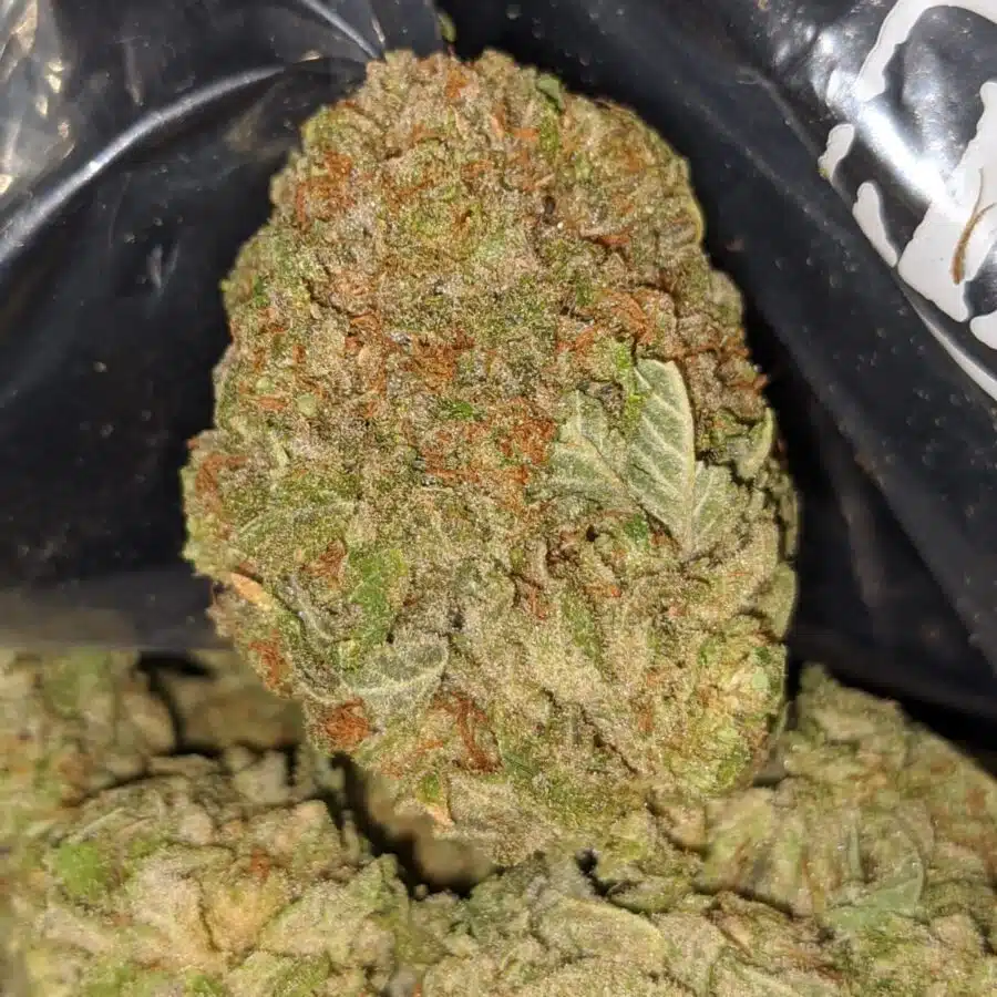 racefuel og 2 I Racefuel OG