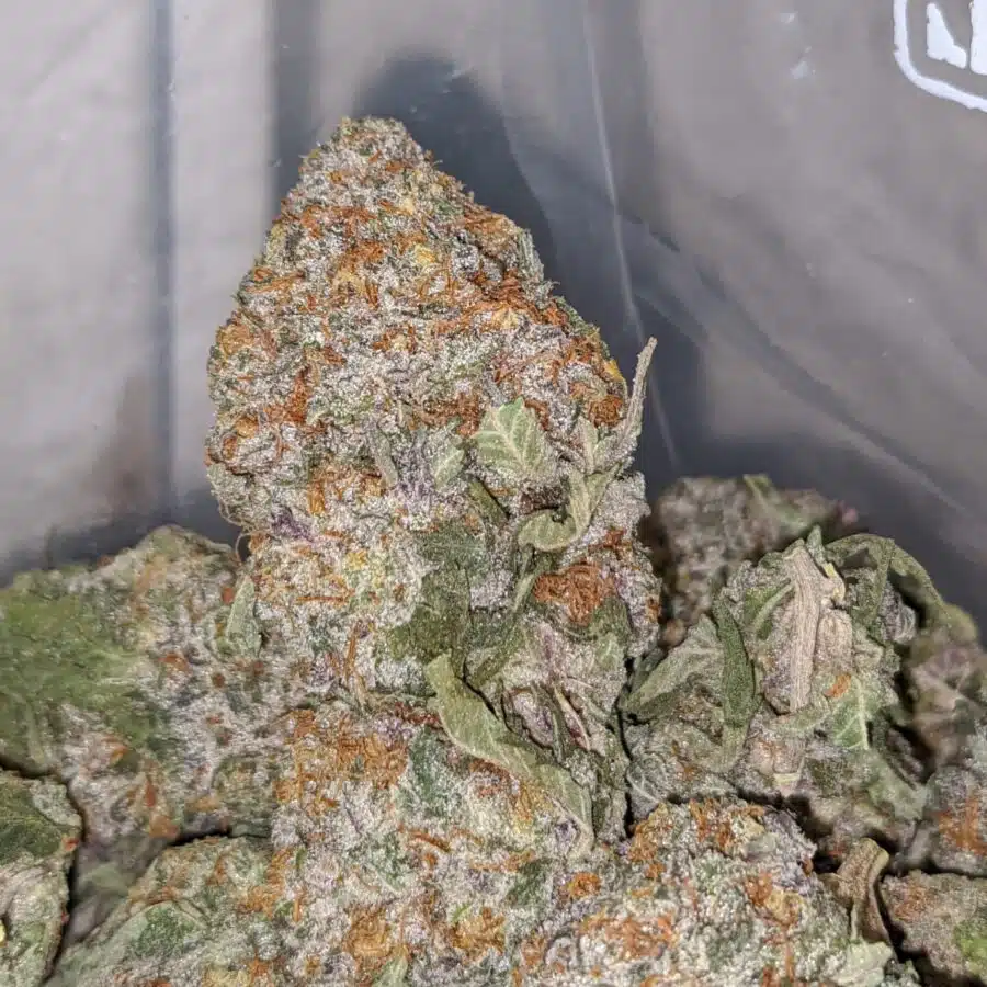 seattle cough 1 I $69 Oz - Seattle Cough