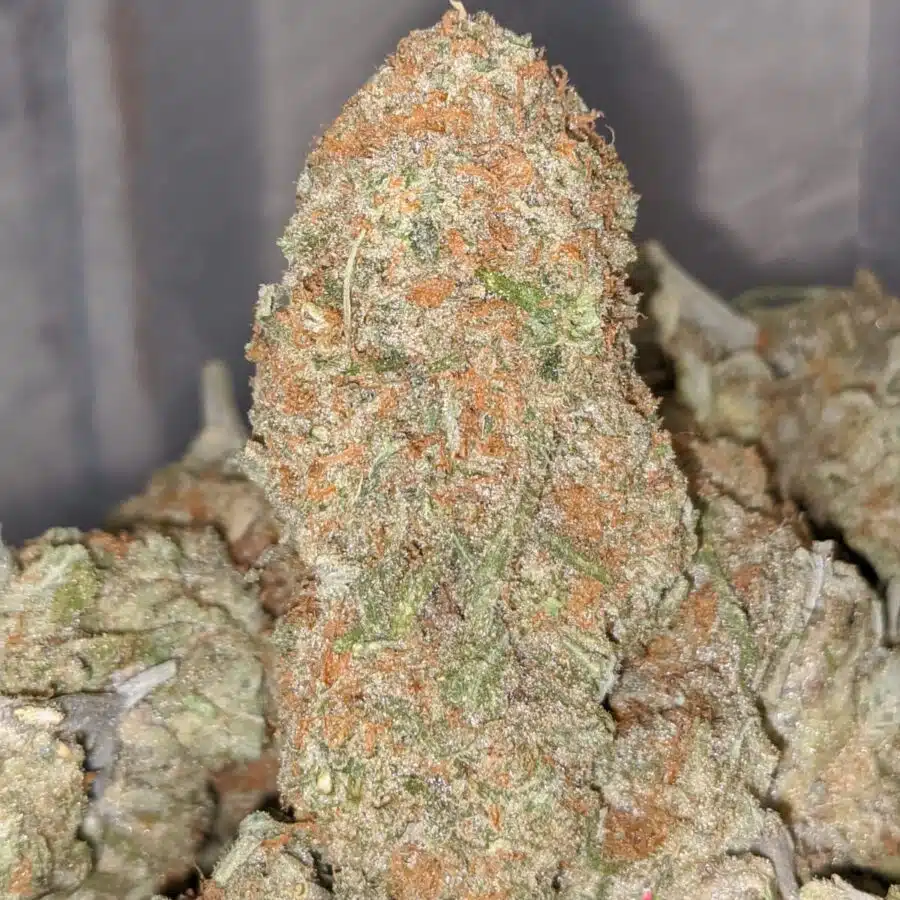 BERRY BOMB DOD 1 I $69 Oz - Berry Bomb
