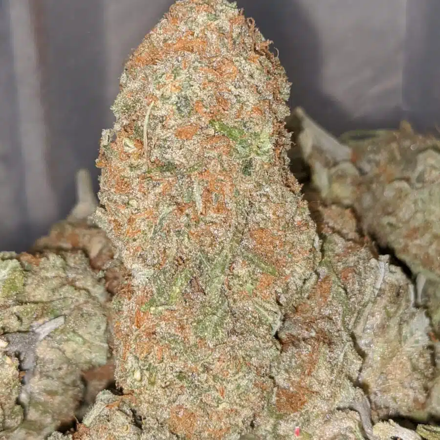 BERRY BOMB DOD 2 I $69 Oz - Berry Bomb