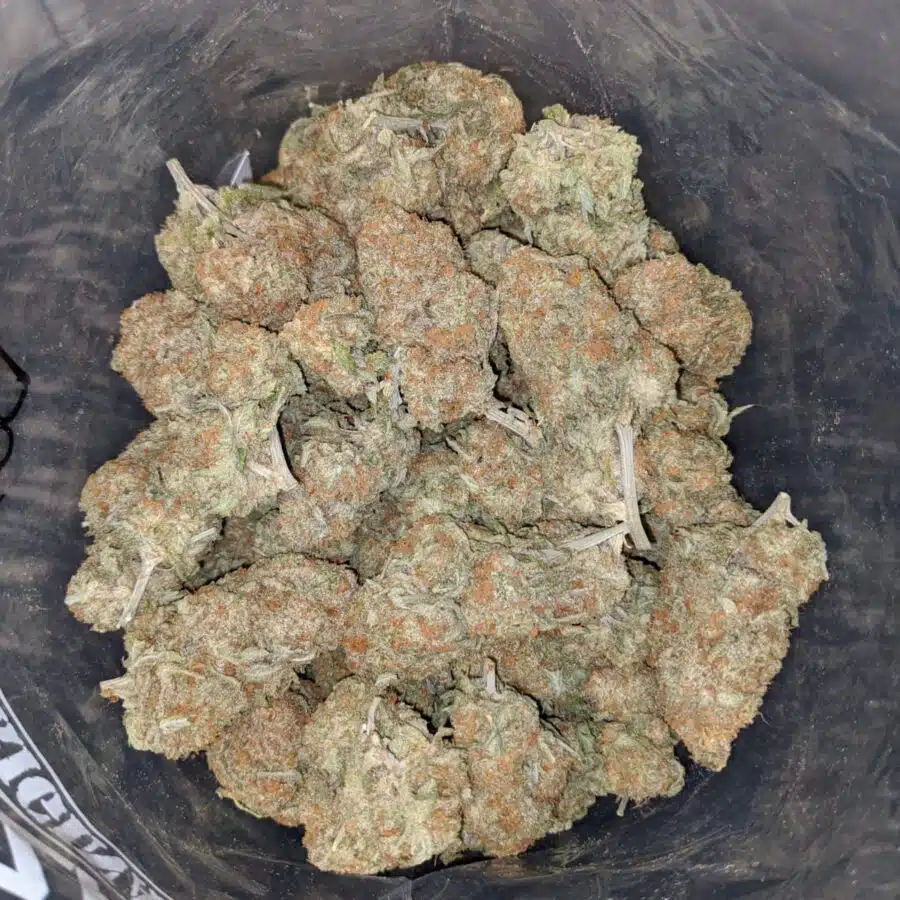 BERRY BOMB DOD 3 I $69 Oz - Berry Bomb