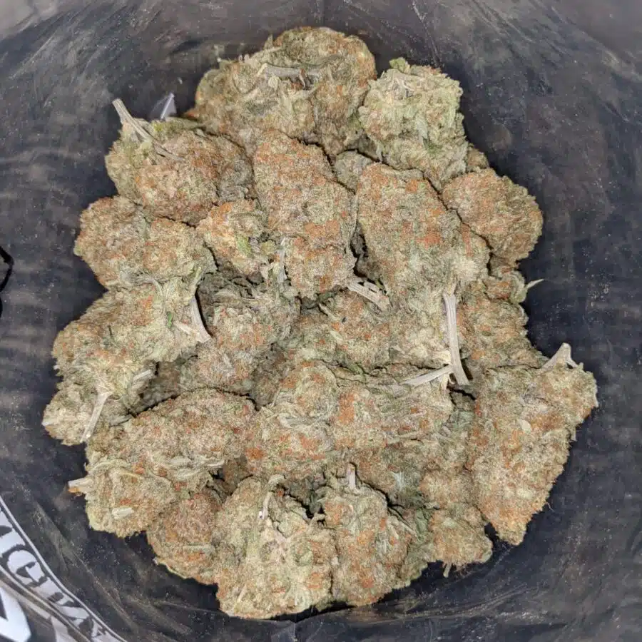 BERRY BOMB DOD 4 I $69 Oz - Berry Bomb