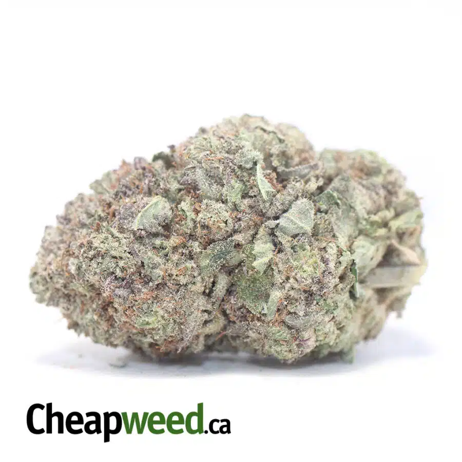 Black Diamond - *Deal of the Day*