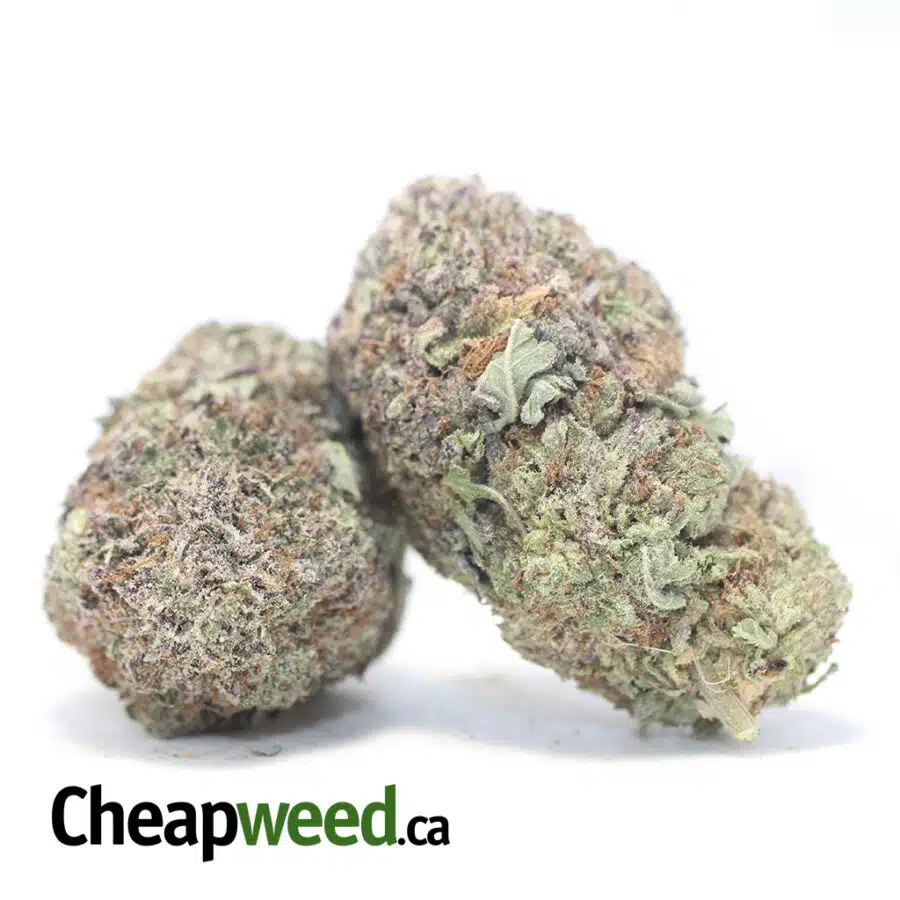 Alternative view of Black Diamond - *Deal of the Day*