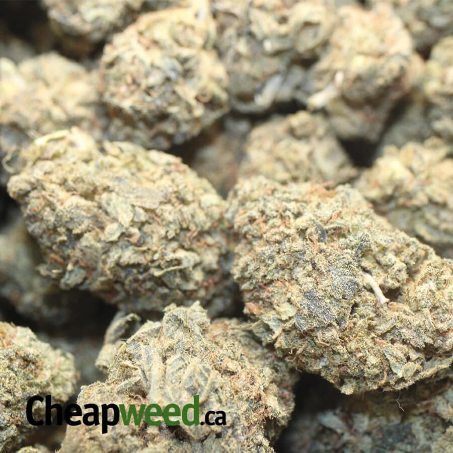 BLACK LICO BS 3 I Black Licorice Bulk Special