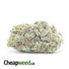 Blue Dream - *Deal Of The Day*