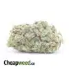 Blue Dream - *Deal Of The Day*