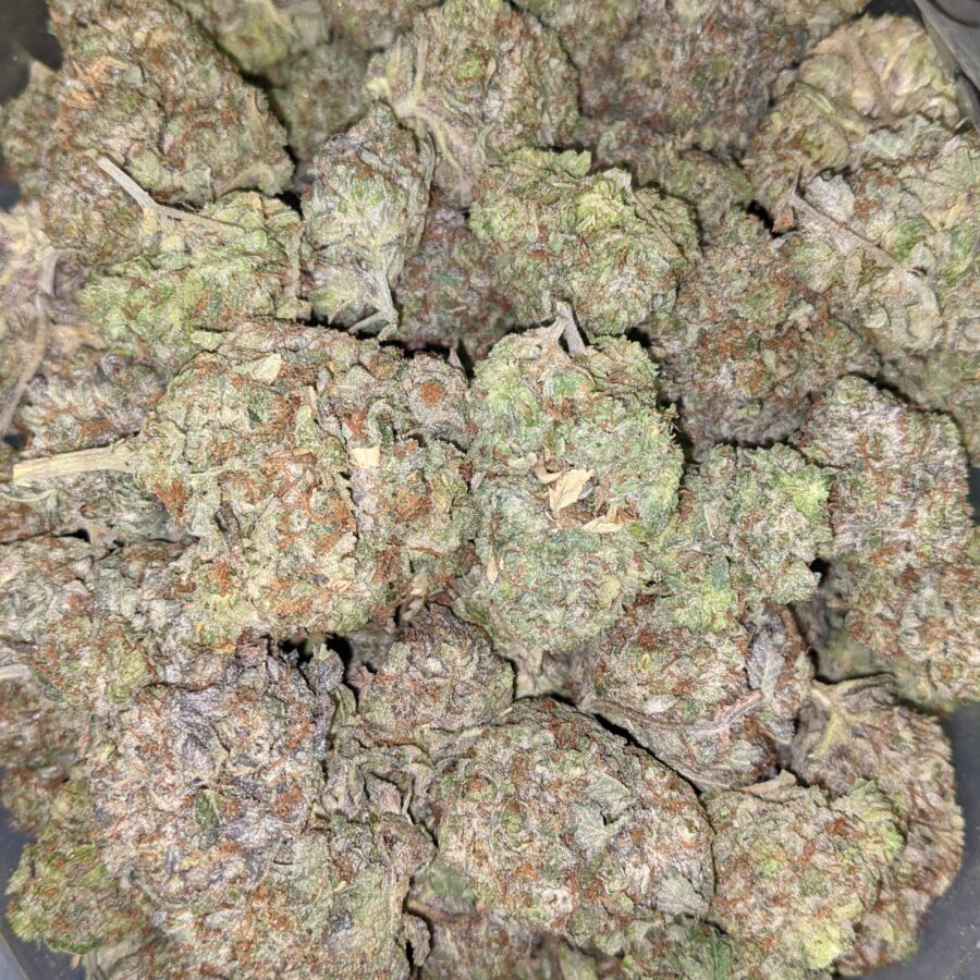 Bc big bud 2 I BC Big Bud - *Deal of the Day*