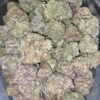 BC Big Bud - *Deal of the Day*