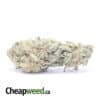Chemdawg Bulk Special