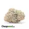 Chocolate Raspberry Cough - *Deal Of The Day*