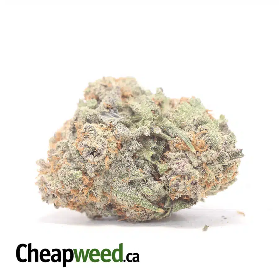 Chocolate Raspberry Cough - *Deal Of The Day*