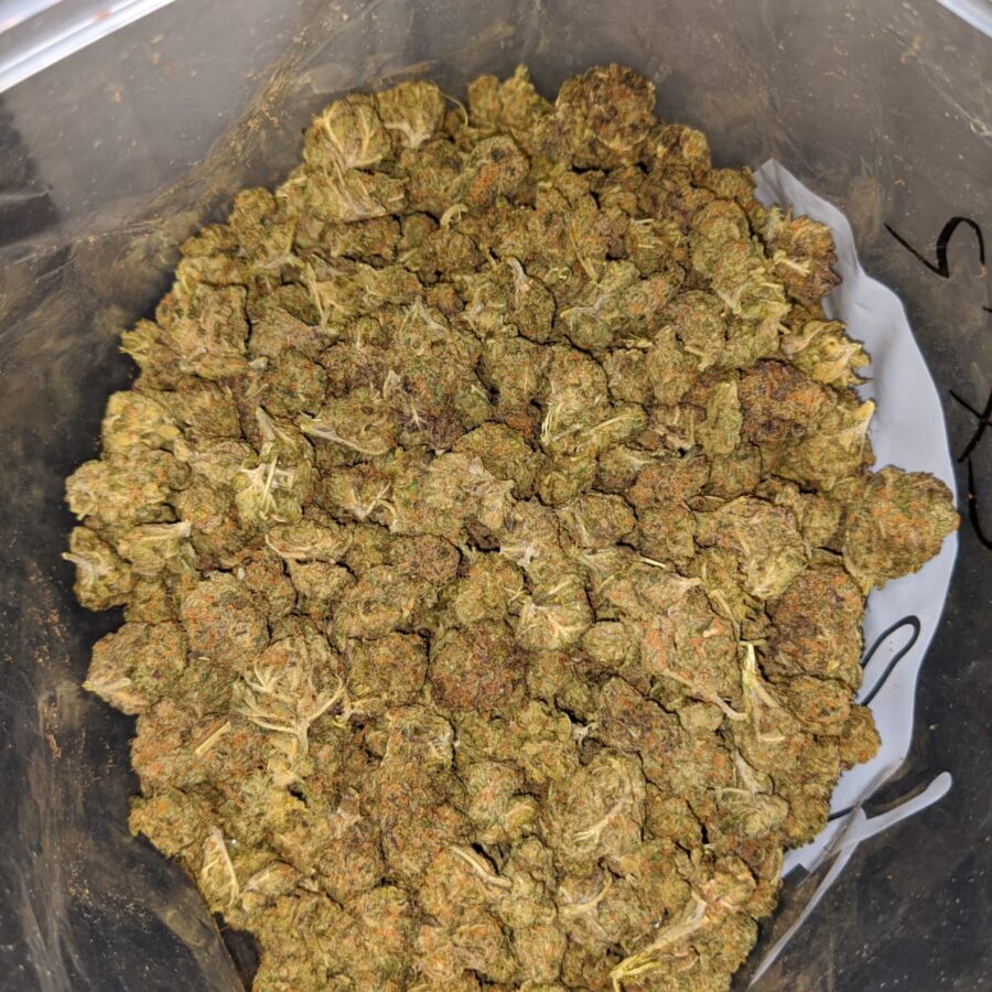 FRUITY PEBBLES BS 1 I Fruit Pebbles - *Deal Of The Day*