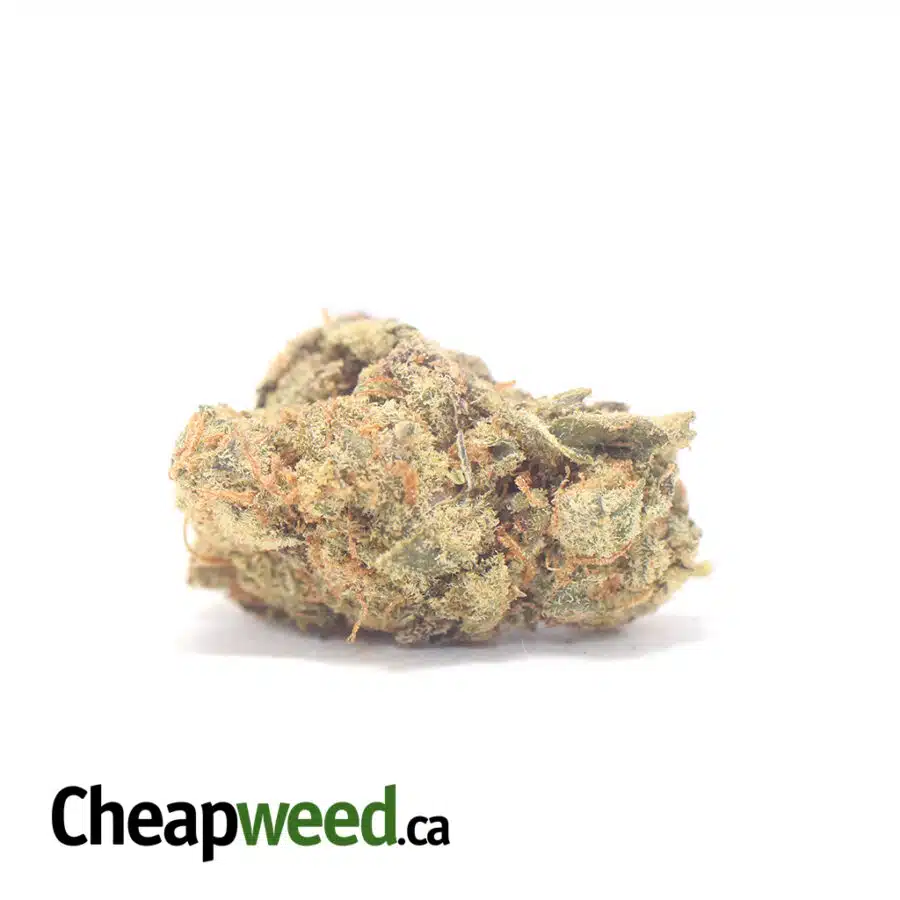 Fruit Pebbles - *Deal Of The Day*