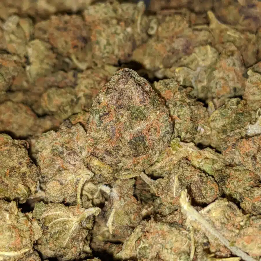FRUITY PEBBLES BS 2 I Fruit Pebbles - *Deal Of The Day*