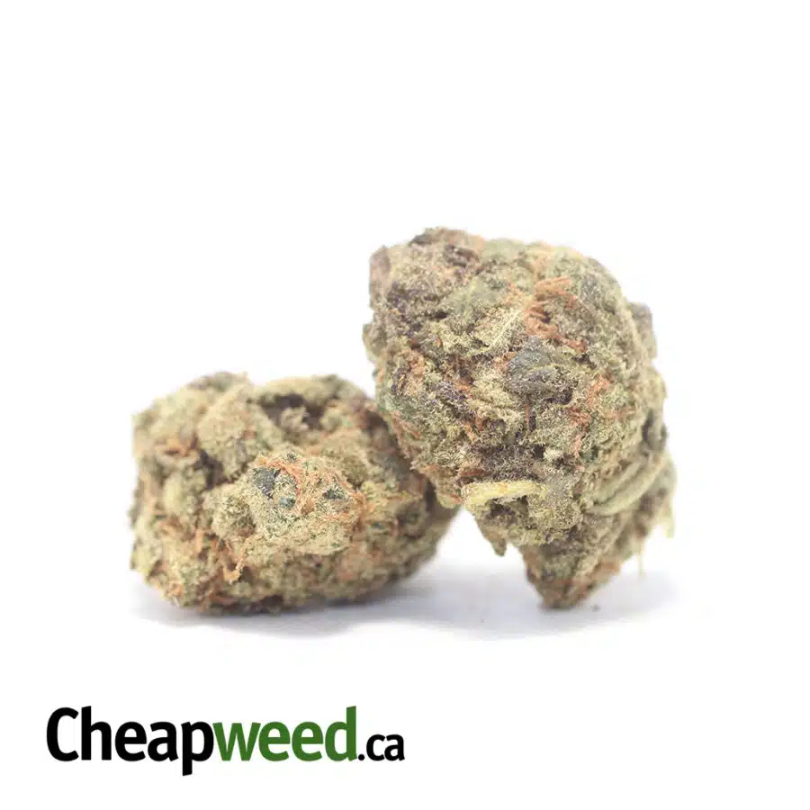 Alternative view of Fruit Pebbles - *Deal Of The Day*