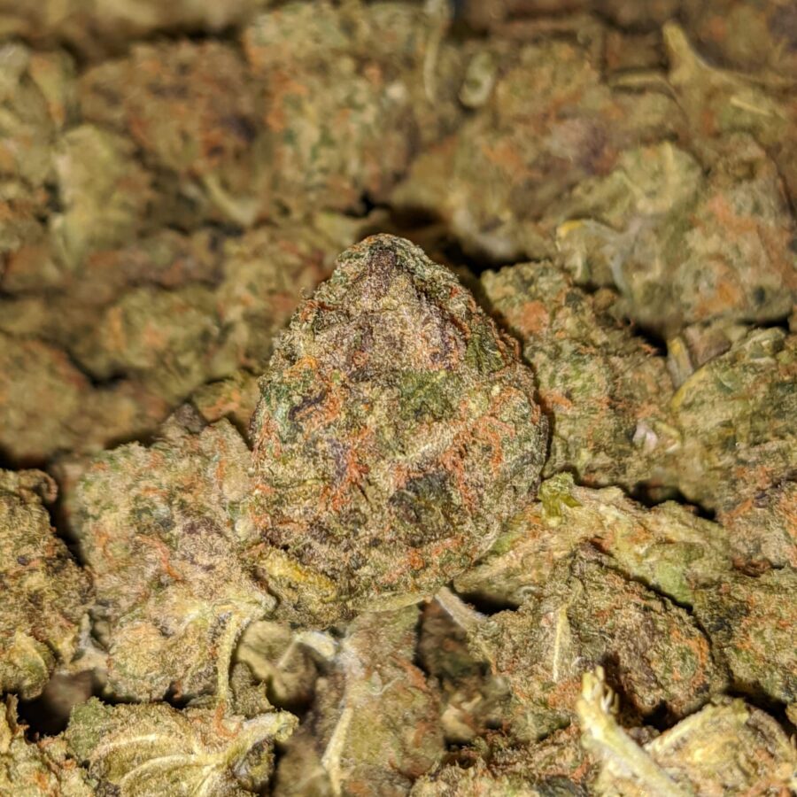 FRUITY PEBBLES BS 3 I Fruit Pebbles - *Deal Of The Day*