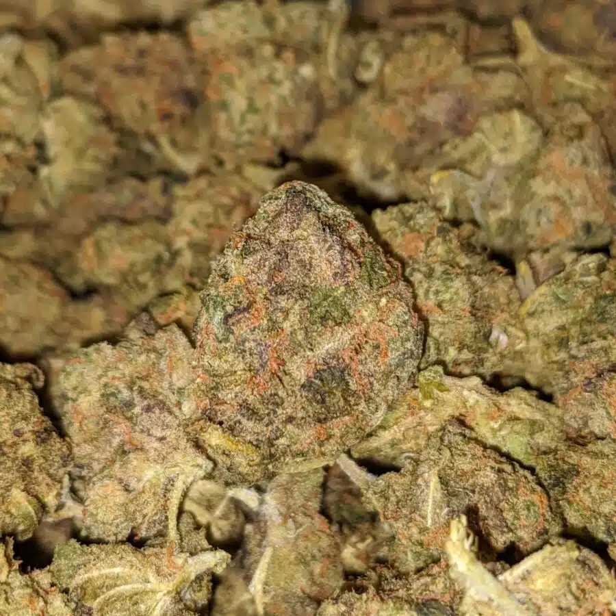 FRUITY PEBBLES BS 3 I Fruit Pebbles - *Deal Of The Day*