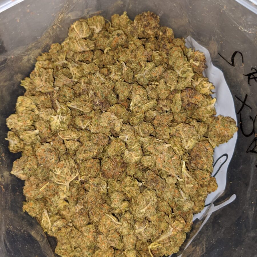 FRUITY PEBBLES BS 4 I Fruit Pebbles - *Deal Of The Day*
