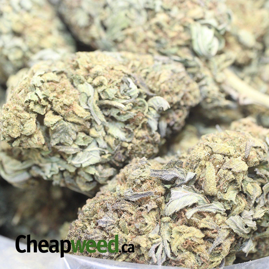Green Bubba Bulk Special - Image 3