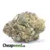 Green Bubba Bulk Special