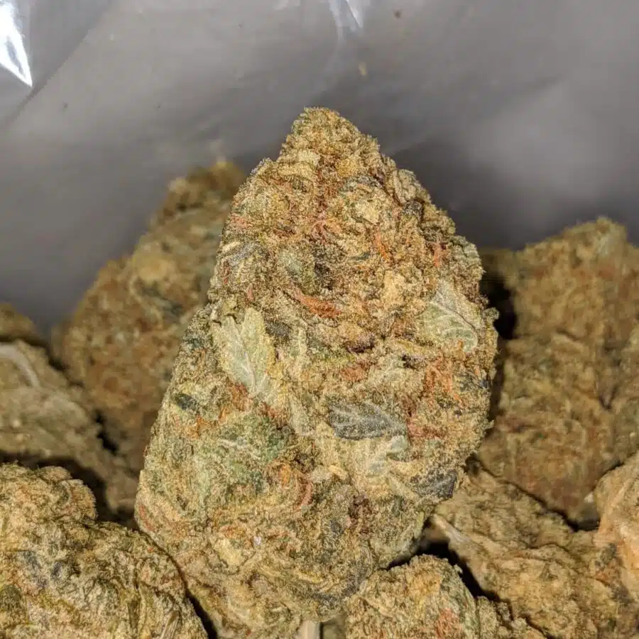 GREEN GOBLIN BULK SPECIAL 1 I Green Goblin Bulk Special