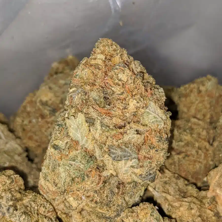 GREEN GOBLIN BULK SPECIAL 2 I Green Goblin Bulk Special