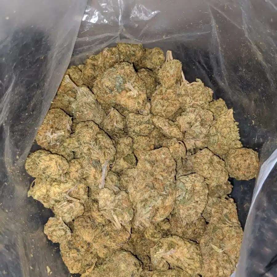 GREEN GOBLIN BULK SPECIAL 3 I Green Goblin Bulk Special